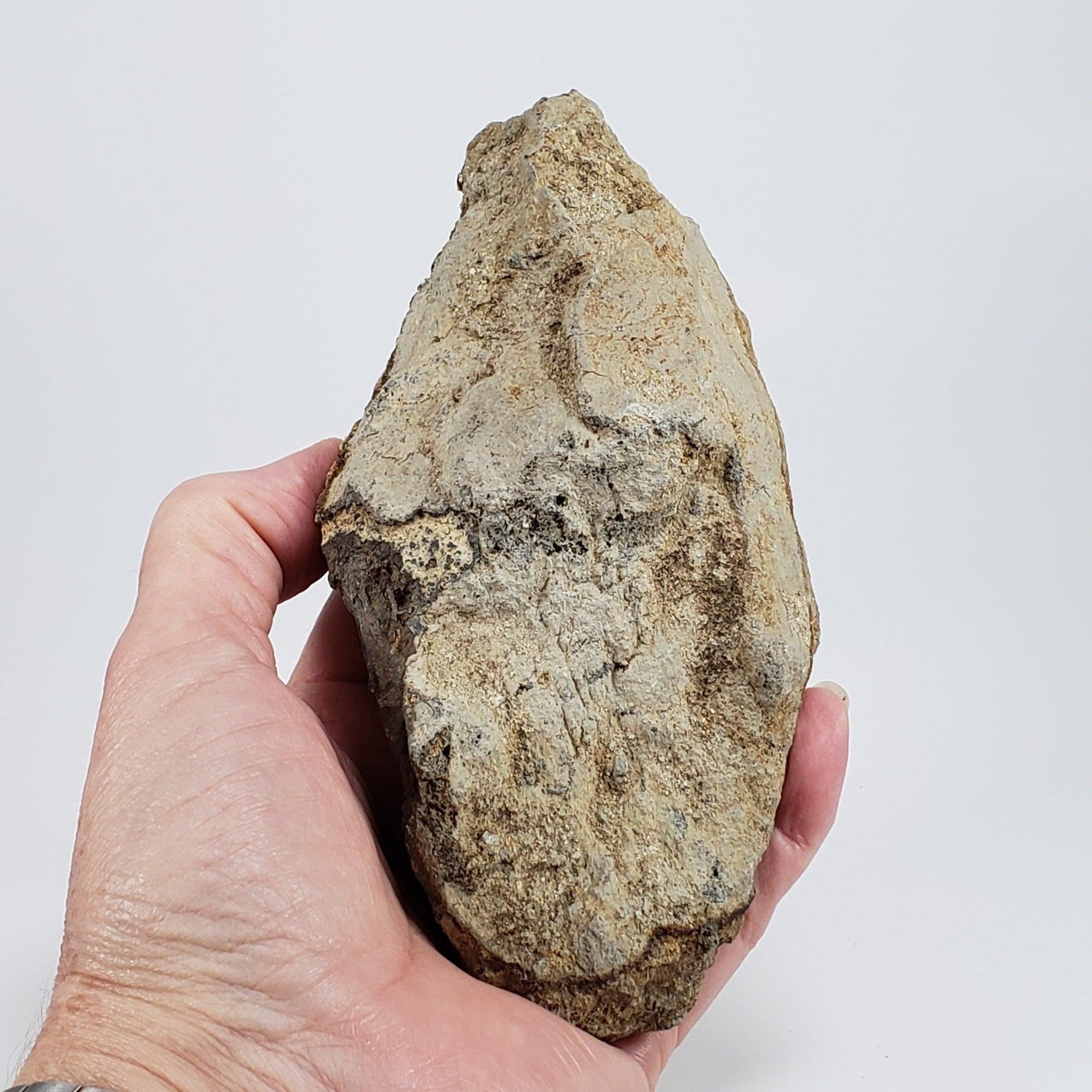  Impact Melt Glass | 395 Grams | Ries Crater Impactite | Stuttgart Germany SO24 3