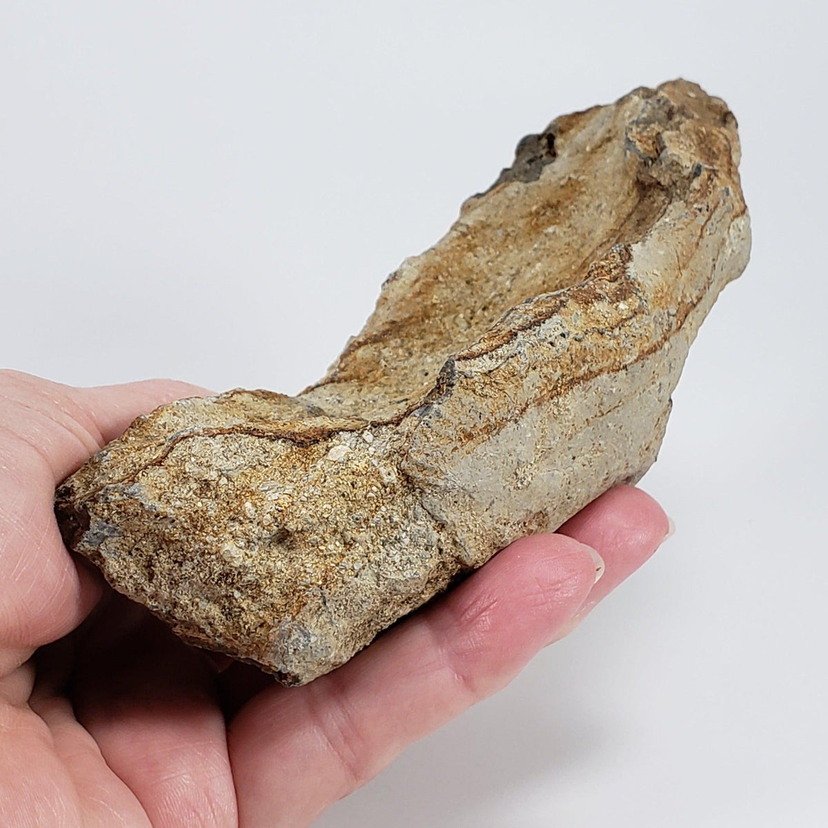  Impact Melt Glass | 395 Grams | Ries Crater Impactite | Stuttgart Germany SO24 4
