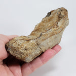  Impact Melt Glass | 395 Grams | Ries Crater Impactite | Stuttgart Germany SO24 4