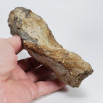  Impact Melt Glass | 395 Grams | Ries Crater Impactite | Stuttgart Germany SO24 5