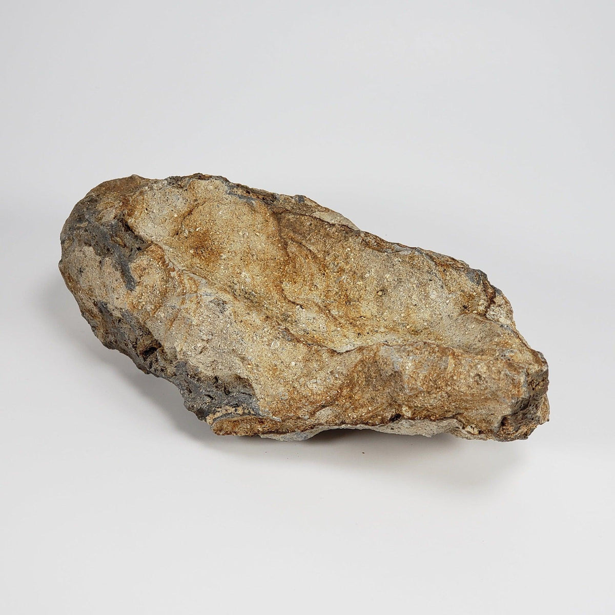  Impact Melt Glass | 395 Grams | Ries Crater Impactite | Stuttgart Germany SO24 6