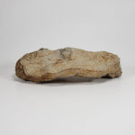  Impact Melt Glass | 395 Grams | Ries Crater Impactite | Stuttgart Germany SO24 8