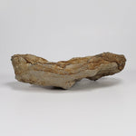  Impact Melt Glass | 395 Grams | Ries Crater Impactite | Stuttgart Germany SO24 9
