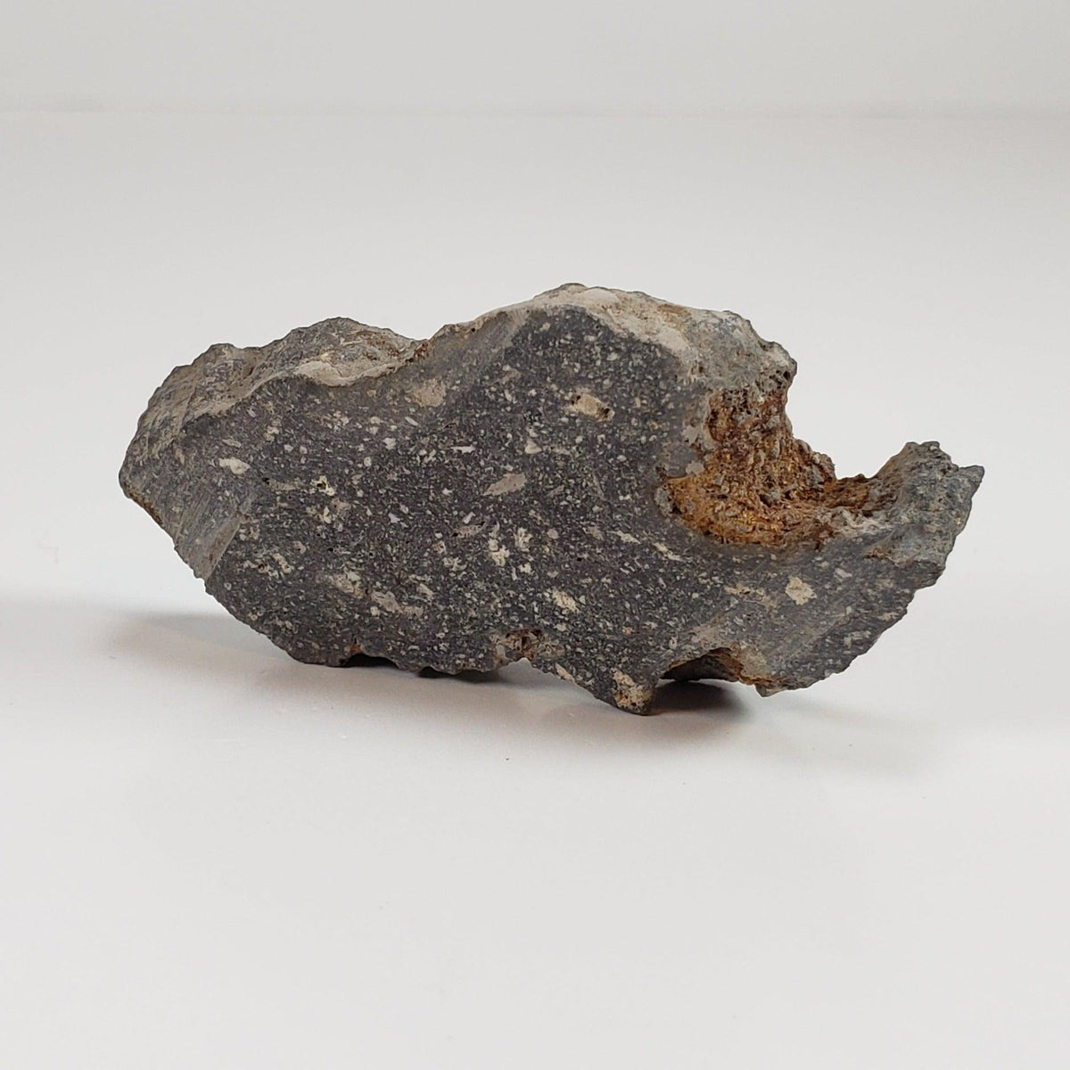  Impact Melt Glass | Flädle Glass  | 15.76 Grams | Slice | Nördlinger Ries Crater Impactite | Germany SO24 