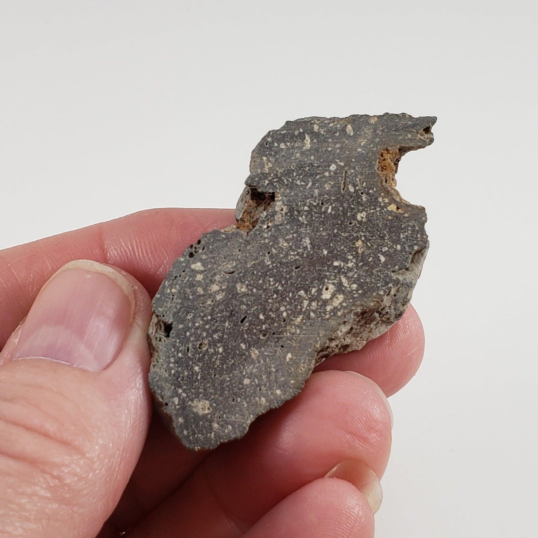  Impact Melt Glass | Flädle Glass  | 15.76 Grams | Slice | Nördlinger Ries Crater Impactite | Germany SO24 2