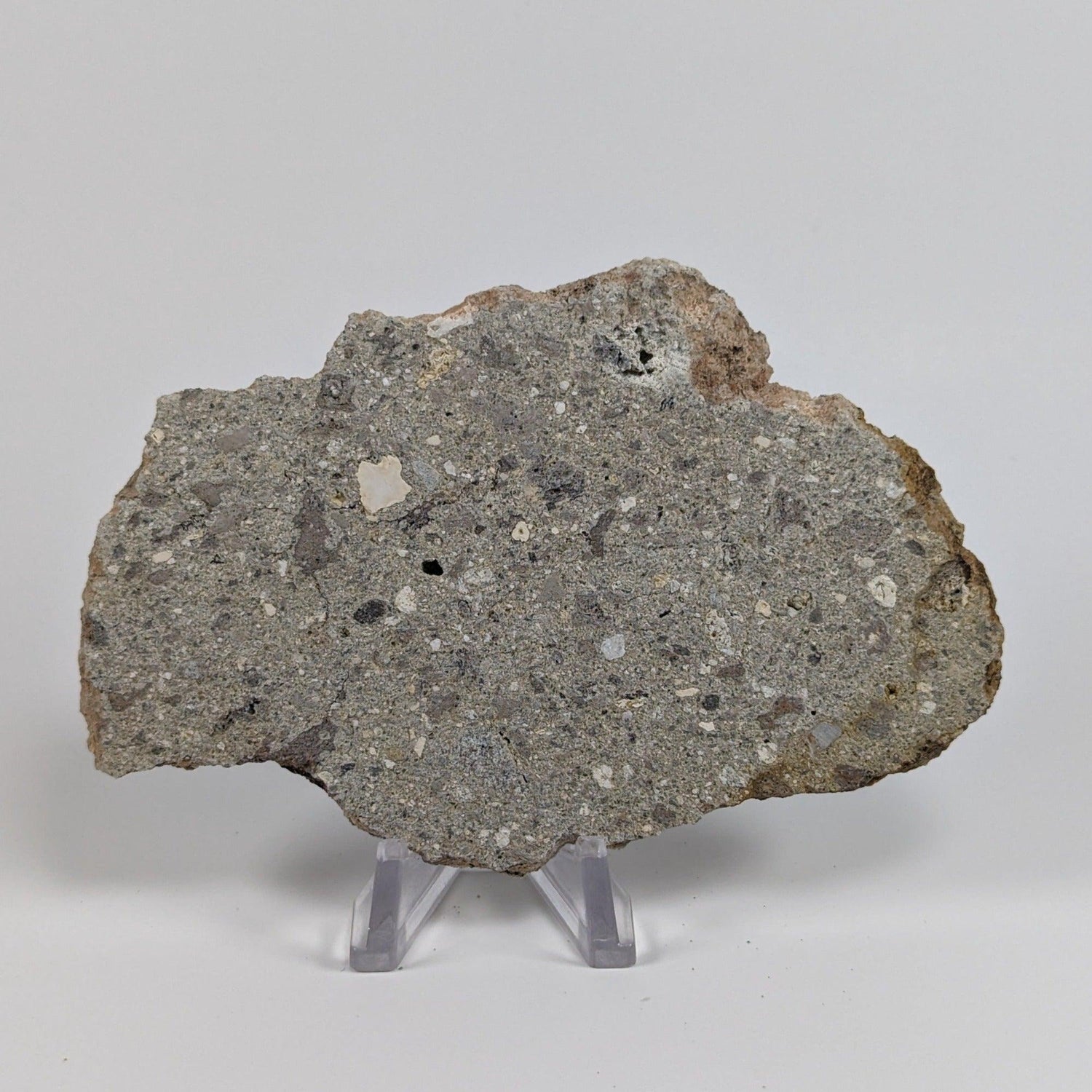  Impactite Melt Breccia Suevite | 86.6 grams | Ries Crater Germany SO24 