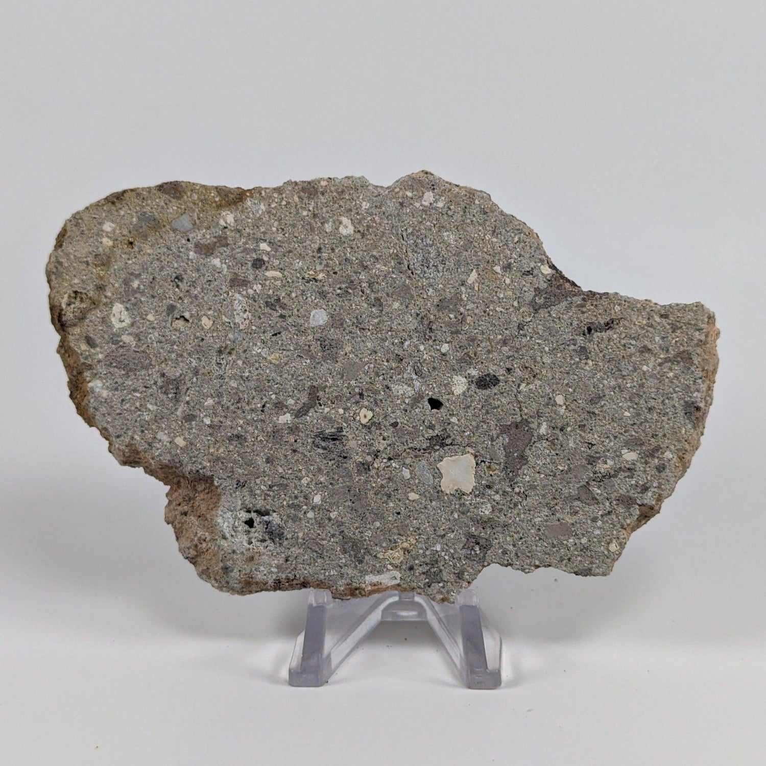  Impactite Melt Breccia Suevite | 86.6 grams | Ries Crater Germany SO24 1