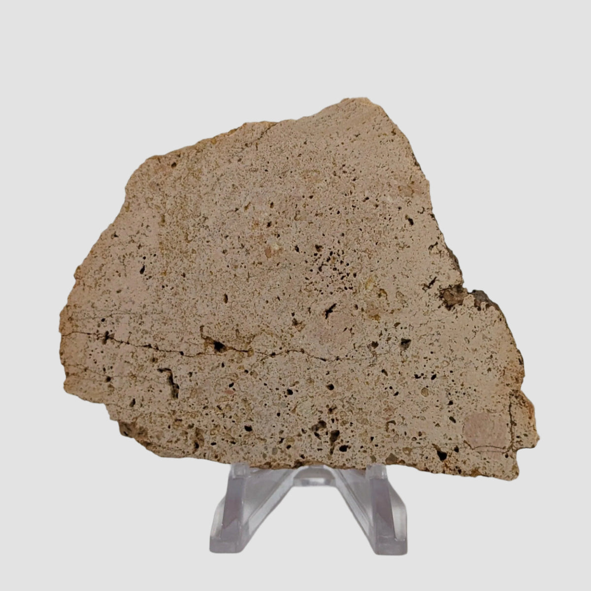  Impactite Vesicular Breccia Suevite | 76.5 Grams | La Valette, France | Rochechouart Structure 
