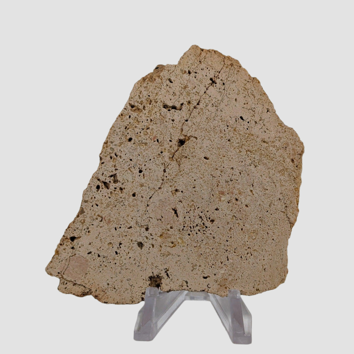  Impactite Vesicular Breccia Suevite | 76.5 Grams | La Valette, France | Rochechouart Structure 1