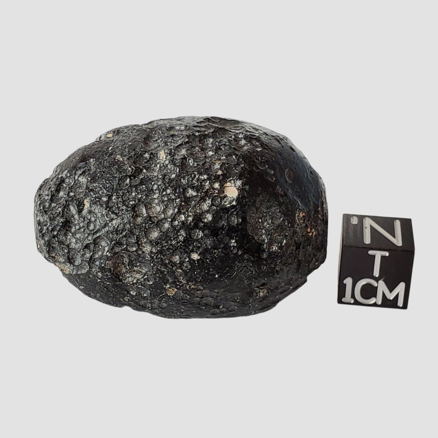  Indochinite Tektite | 46.4 Grams | Impactite 