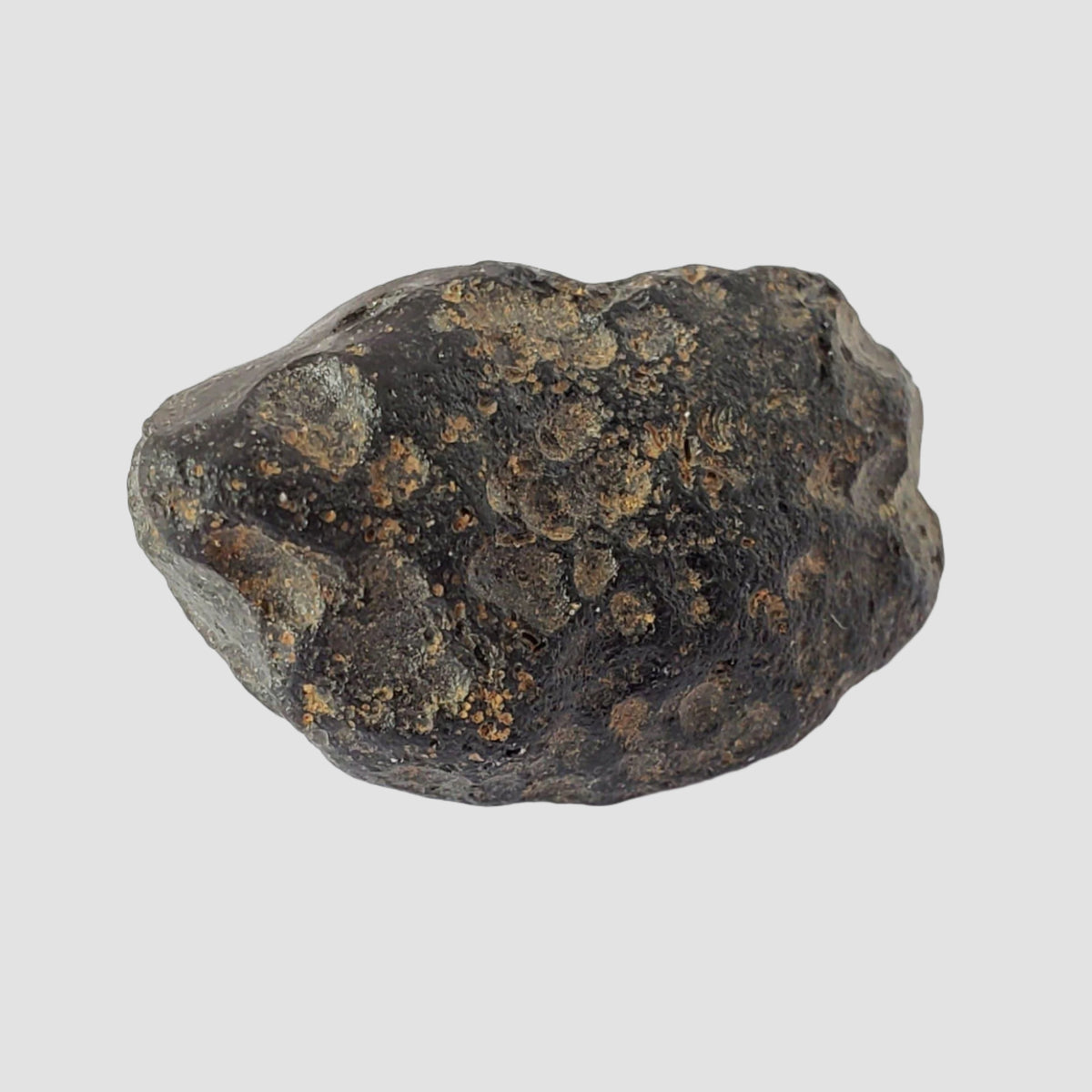  Indochinite Tektite | 7.13 Grams | Impactite 1