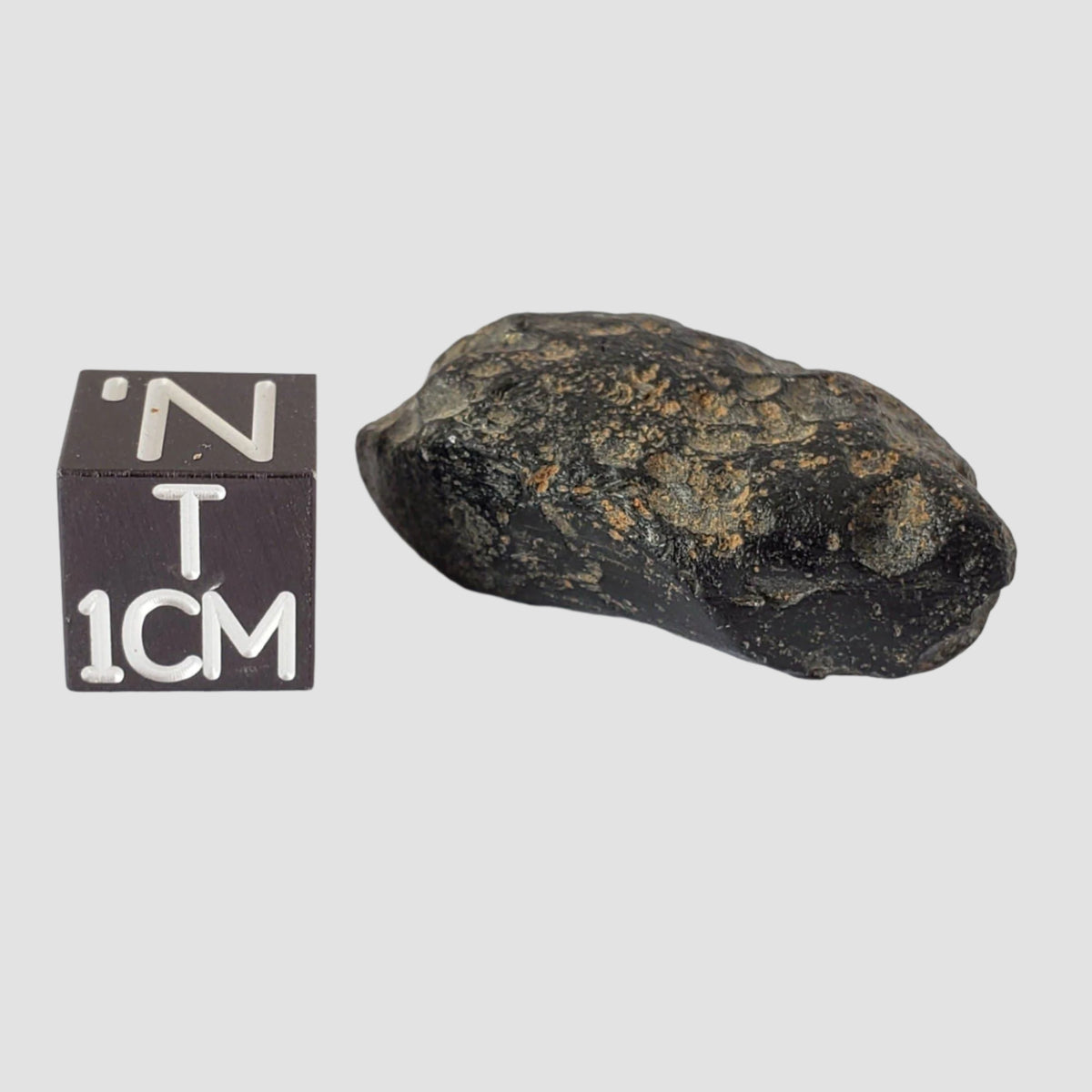  Indochinite Tektite | 7.13 Grams | Impactite 