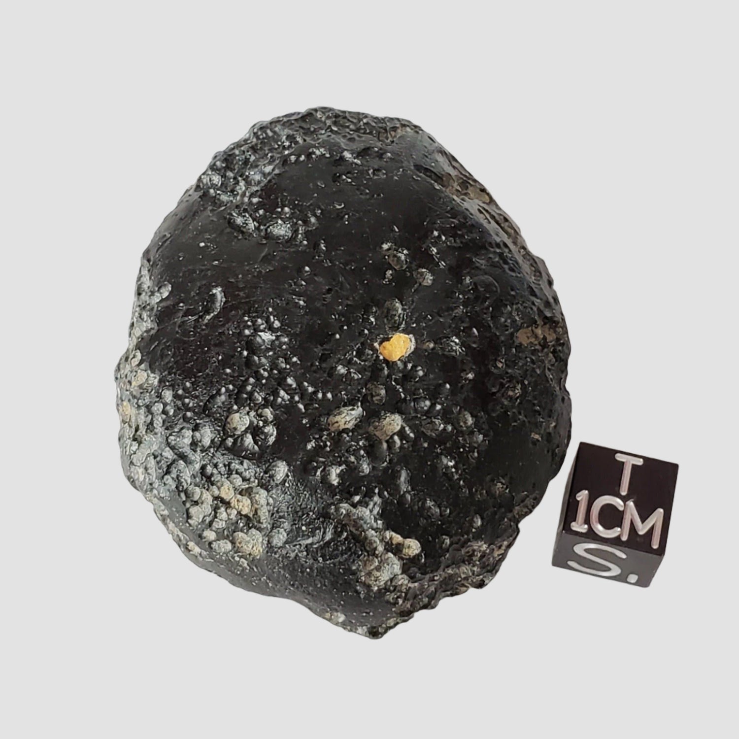  Indochinite Tektite | 81.5 Grams | Impactite 