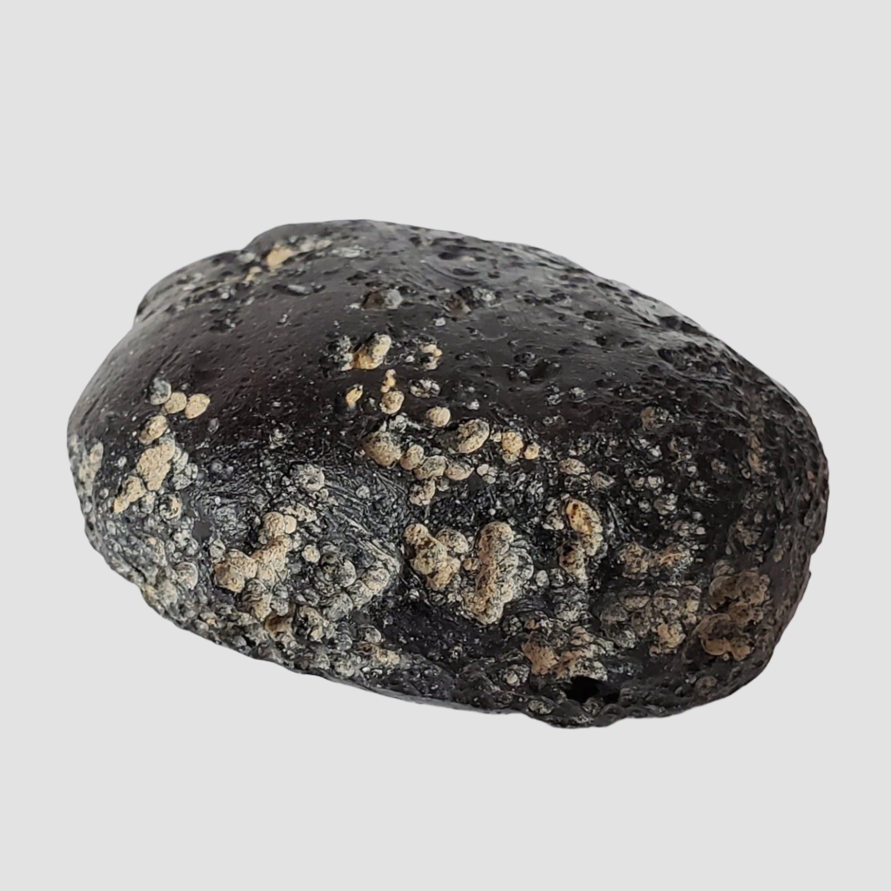  Indochinite Tektite | 81.5 Grams | Impactite 2