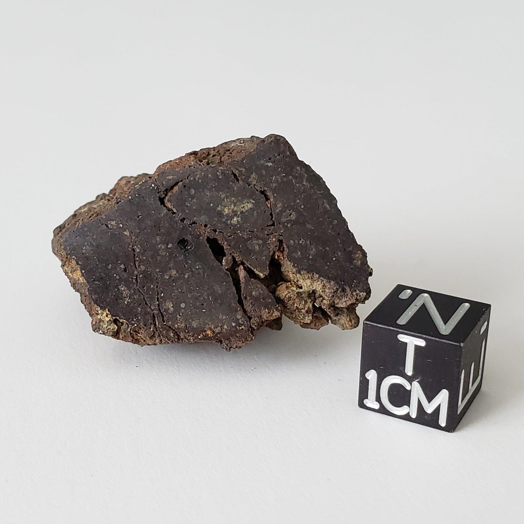  Korra Korrabes Meteorite | 24.1 Gr | End Cut | H3 | Gibeon Strewnfield, Namaland, Namibia 