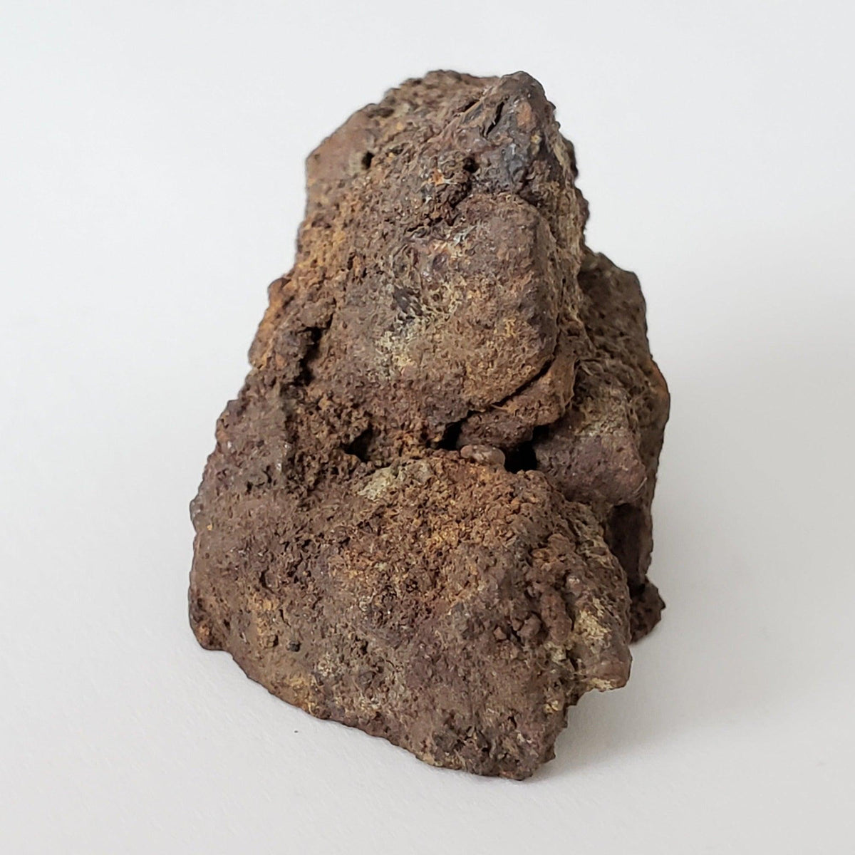  Korra Korrabes Meteorite | 24.1 Gr | End Cut | H3 | Gibeon Strewnfield, Namaland, Namibia 2