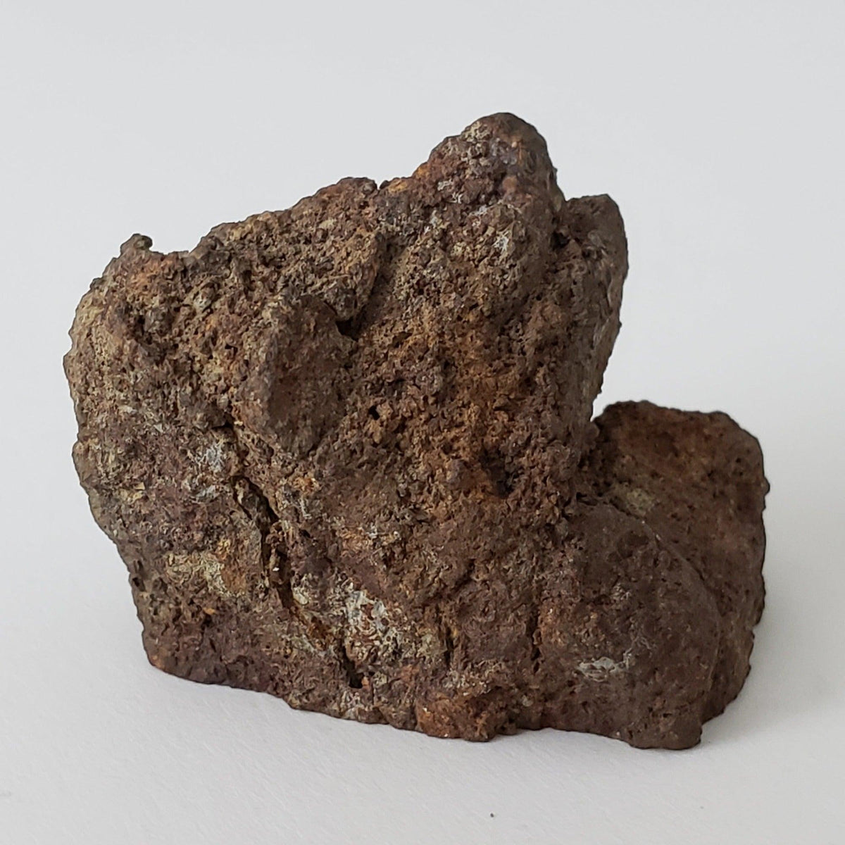  Korra Korrabes Meteorite | 24.1 Gr | End Cut | H3 | Gibeon Strewnfield, Namaland, Namibia 3