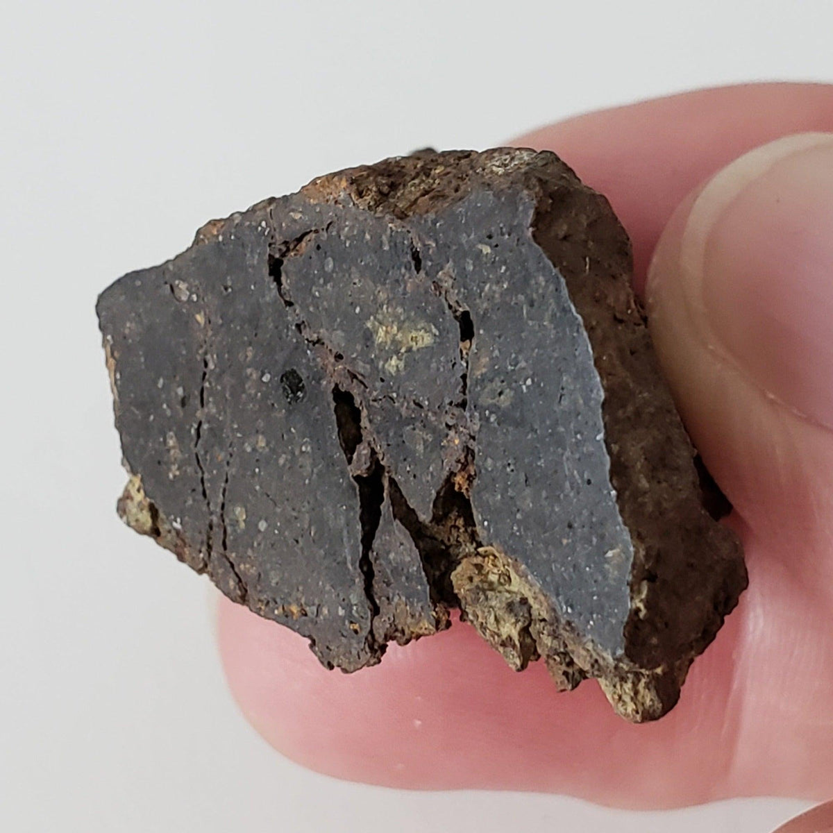  Korra Korrabes Meteorite | 24.1 Gr | End Cut | H3 | Gibeon Strewnfield, Namaland, Namibia 5