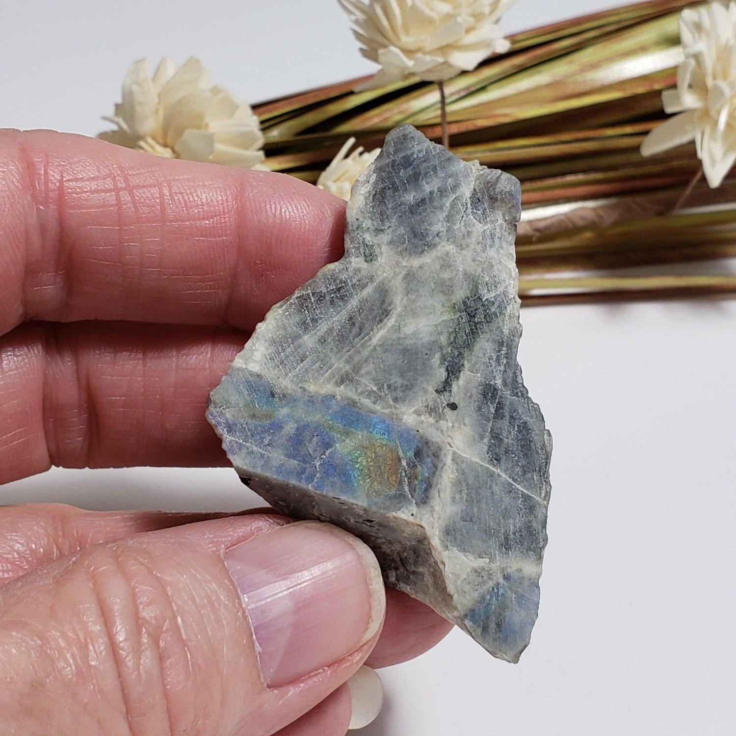  Labradorite | Natural Rainbow Unpolished Stone Slice | Mineral 25.2 Gr, | Authentic Labrador Canada | SO24 