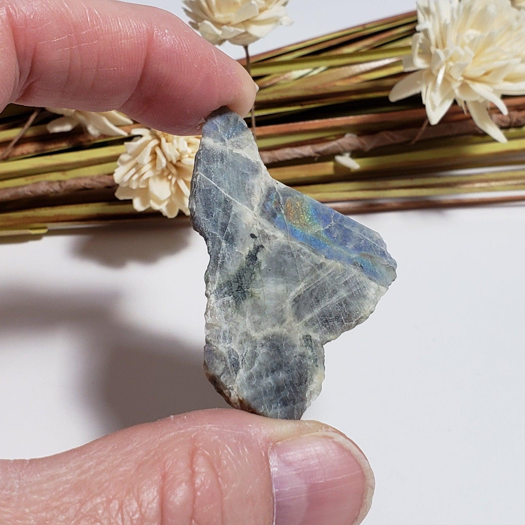  Labradorite | Natural Rainbow Unpolished Stone Slice | Mineral 25.2 Gr, | Authentic Labrador Canada | SO24 3