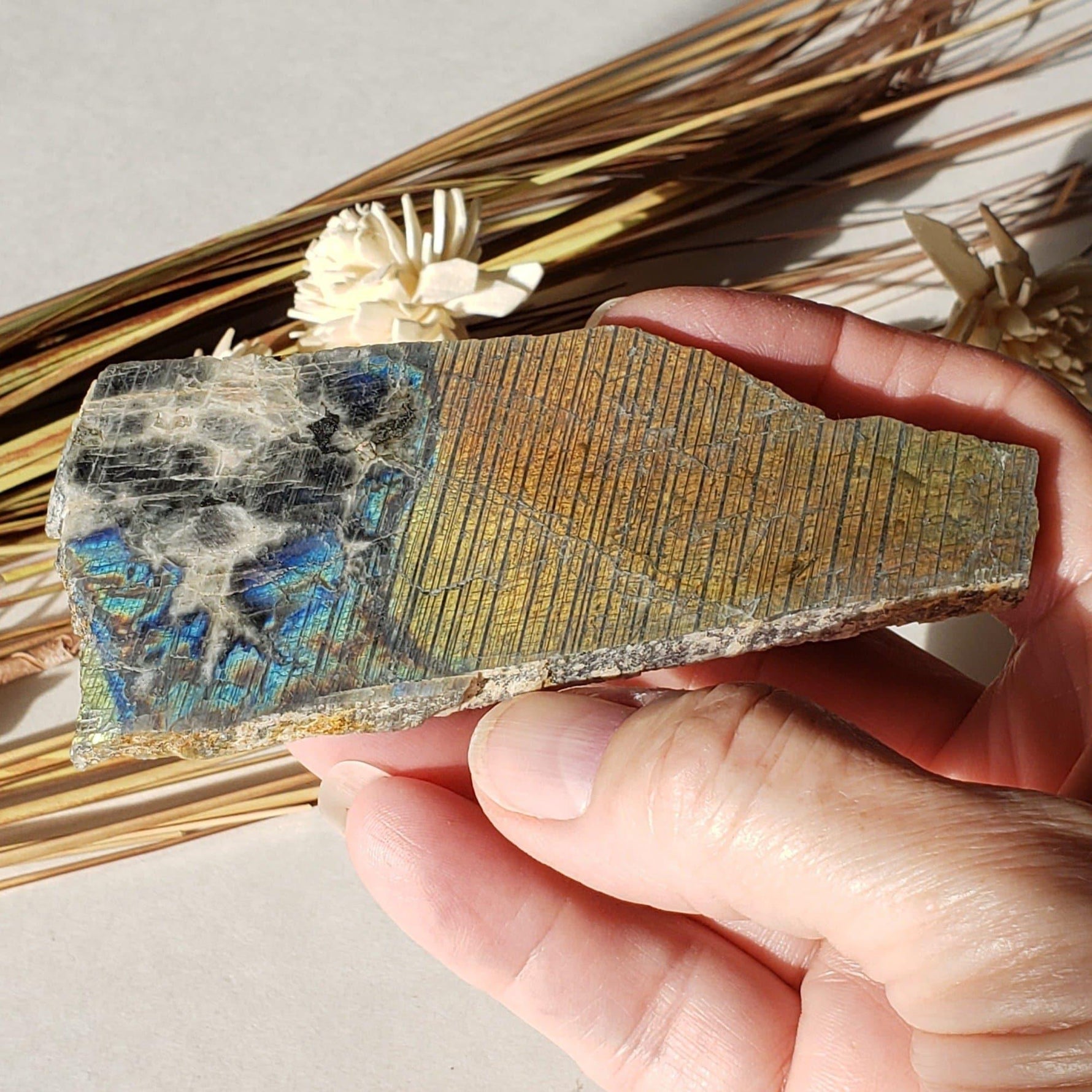  Labradorite Natural Rainbow Unpolished Stone Slice Mineral 59.7 Gr, Authentic Labrador Canada | SO24 2