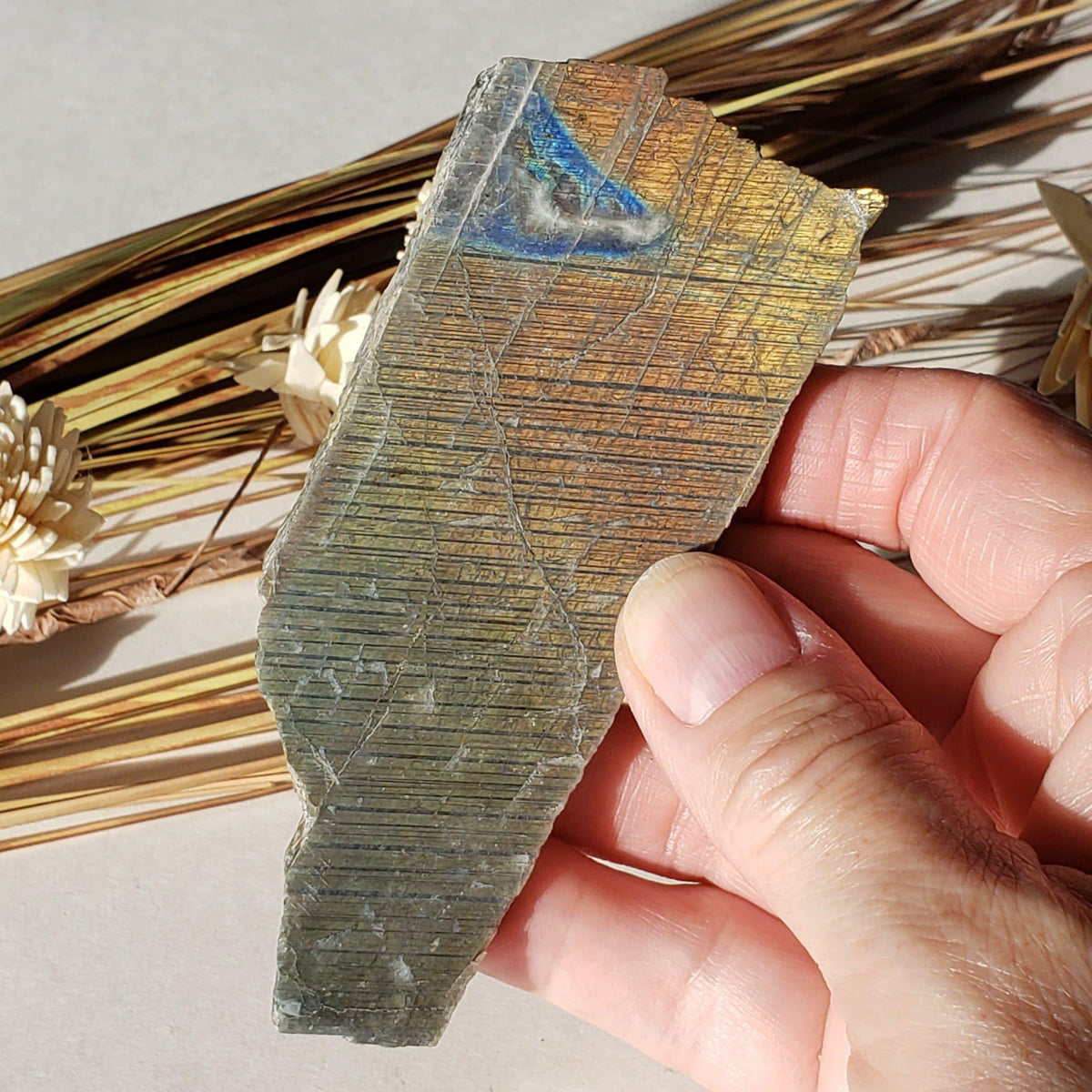  Labradorite Natural Rainbow Unpolished Stone Slice Mineral 59.7 Gr, Authentic Labrador Canada | SO24 1