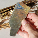  Labradorite Natural Rainbow Unpolished Stone Slice Mineral 59.7 Gr, Authentic Labrador Canada | SO24 1