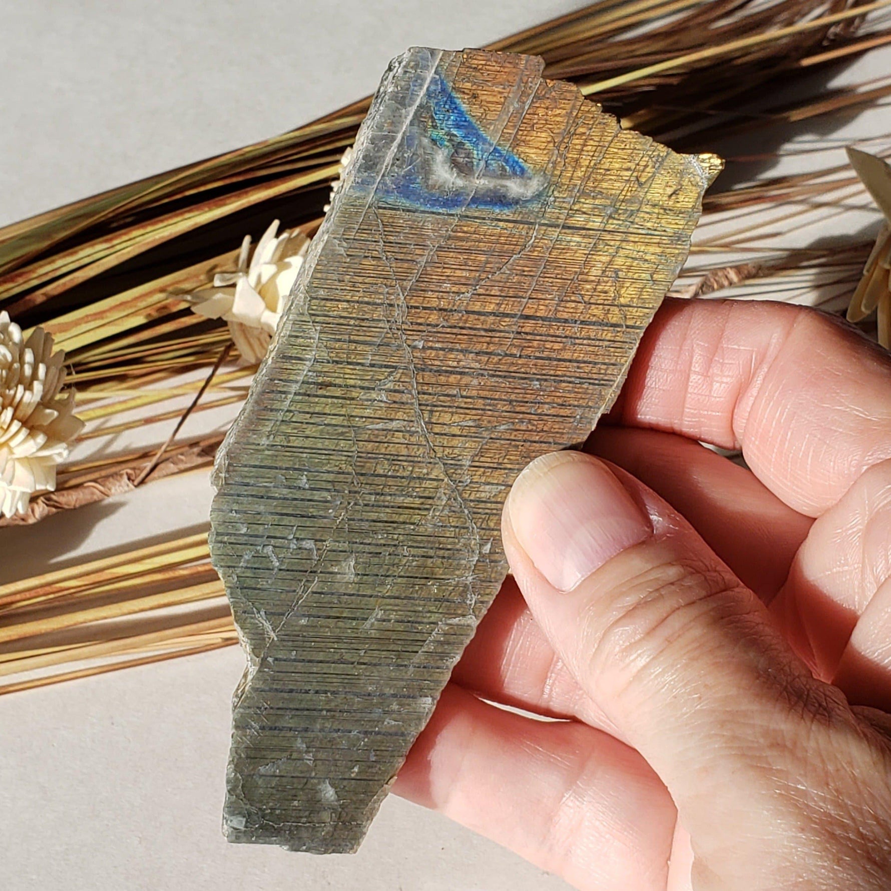  Labradorite Natural Rainbow Unpolished Stone Slice Mineral 59.7 Gr, Authentic Labrador Canada | SO24 1