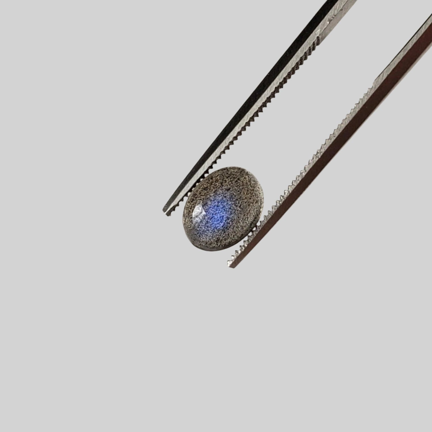  Labradorite | Oval Cabochon | Natural Gray Rainbow | 8x6mm 