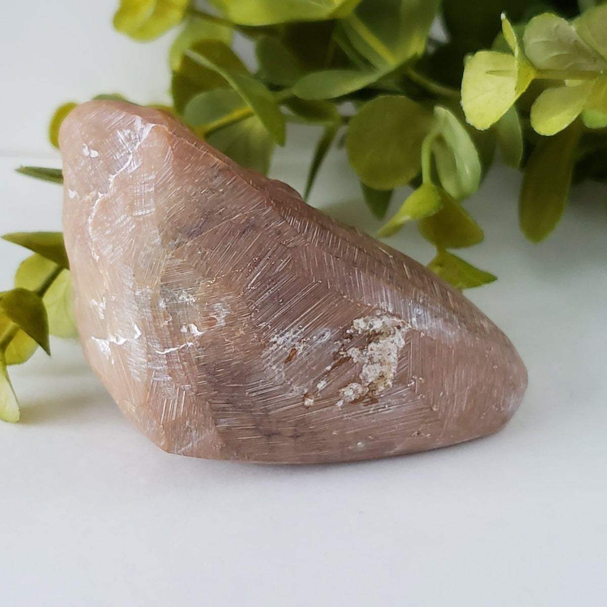  Laughing Buddha Carving | Chinese ShouShan Stone | 250 gr | Hand Carved | FuJian, China 3