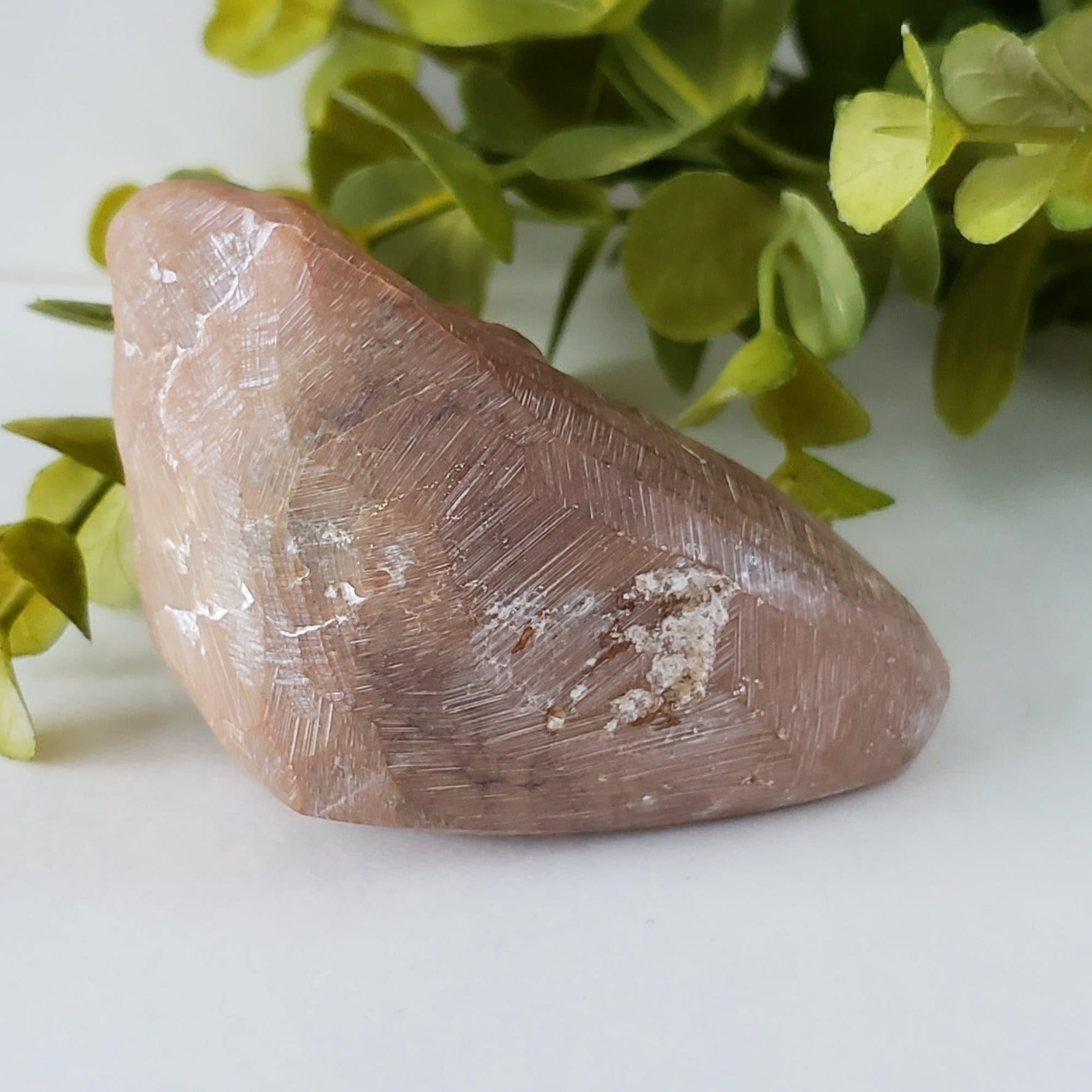  Laughing Buddha Carving | Chinese ShouShan Stone | 250 gr | Hand Carved | FuJian, China 3