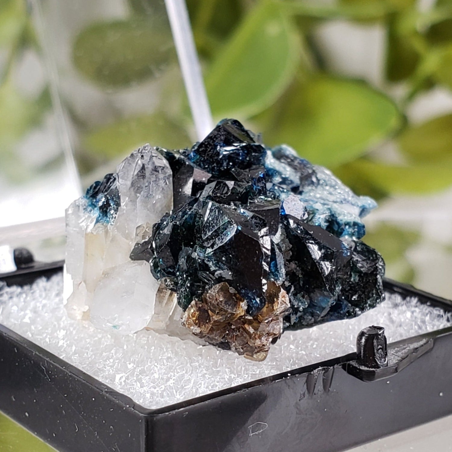  Lazulite Crystal  | Perky Box Thumbnail Specimen | Yukon, Canada | SO24 