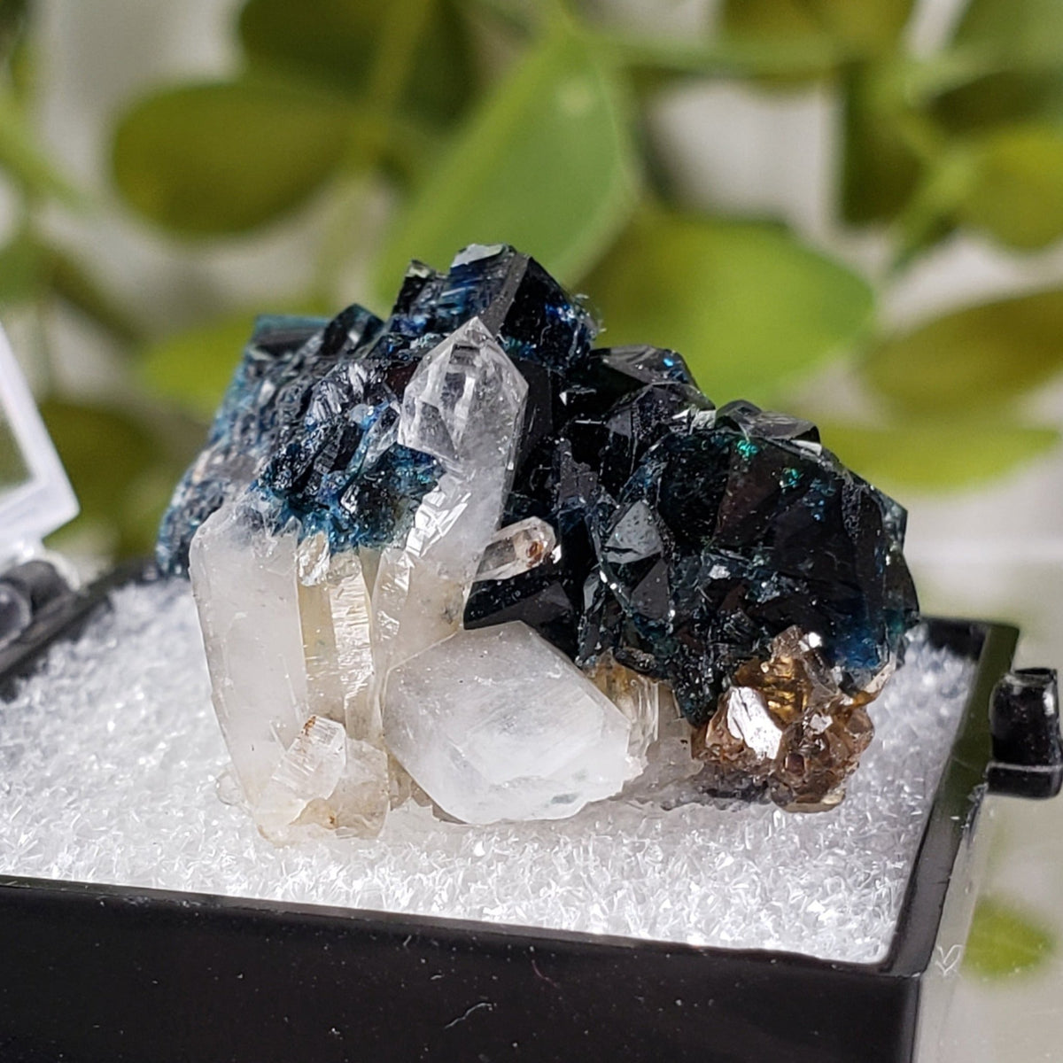  Lazulite Crystal  | Perky Box Thumbnail Specimen | Yukon, Canada | SO24 2