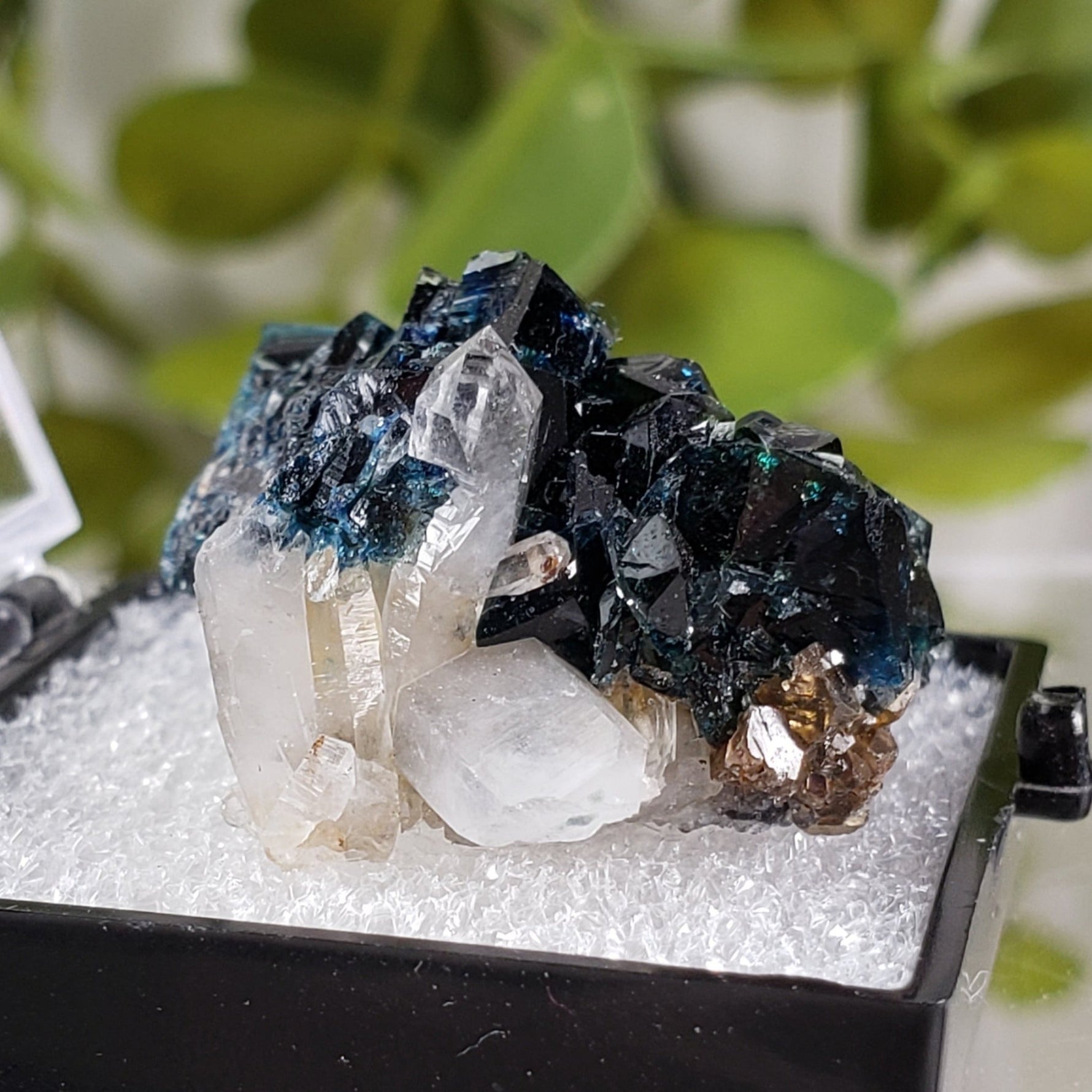  Lazulite Crystal  | Perky Box Thumbnail Specimen | Yukon, Canada | SO24 2