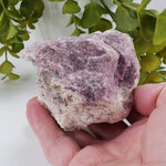  Lepidolite on Quartz Mineral | 503 Grams | Gunnison Co. Colorado | SO24 1