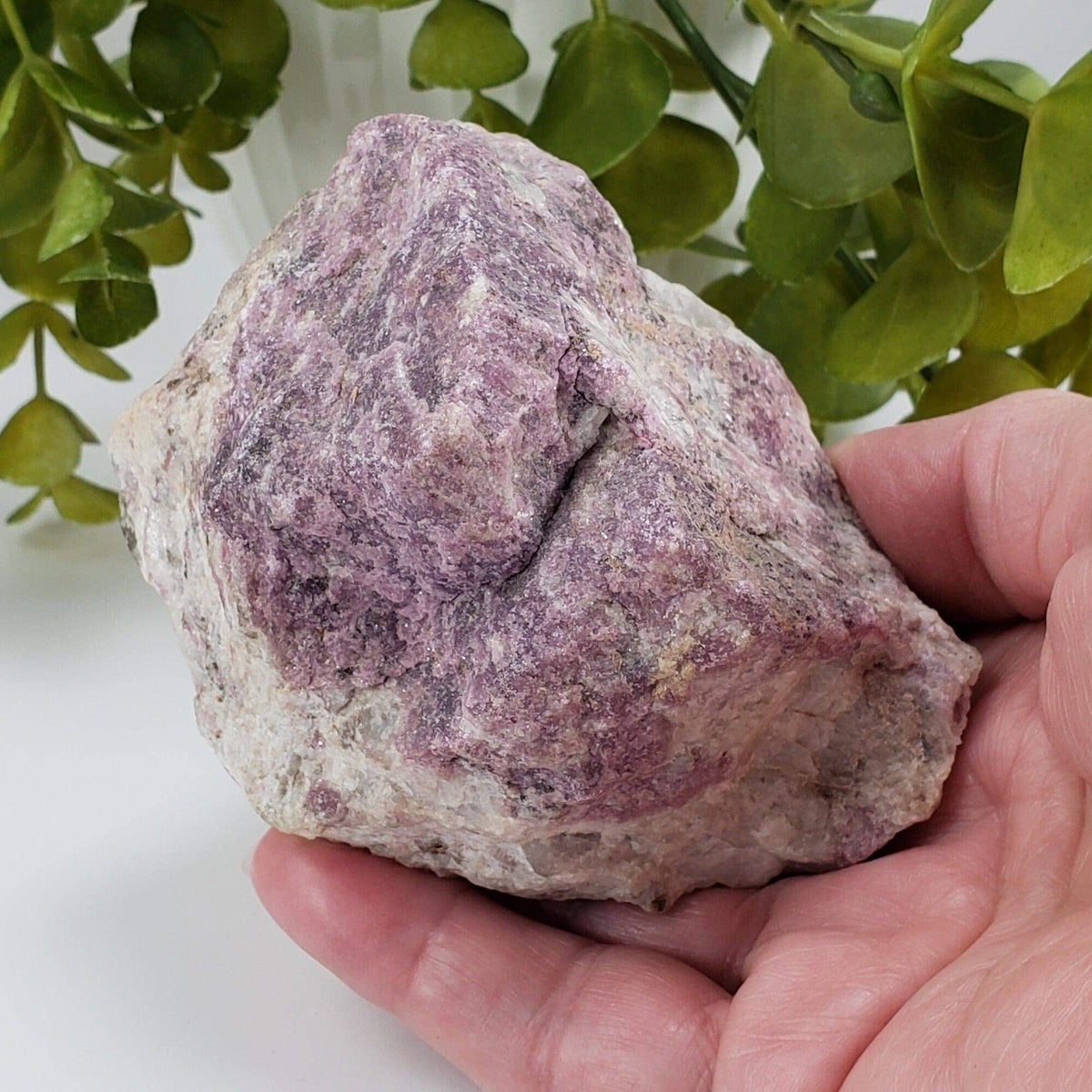 Lepidolite on Quartz Mineral | 503 Grams | Gunnison Co. Colorado | SO24 4