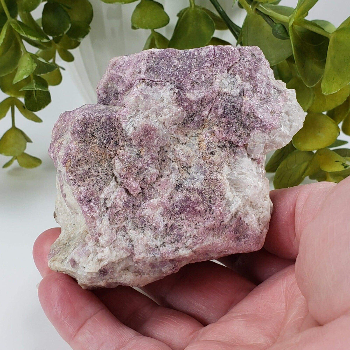  Lepidolite on Quartz Mineral | 503 Grams | Gunnison Co. Colorado | SO24 5
