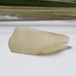  Libyan Desert Glass | Natural Impact Glass | 12.3 Grams | Authentic Impactite | SO24 4
