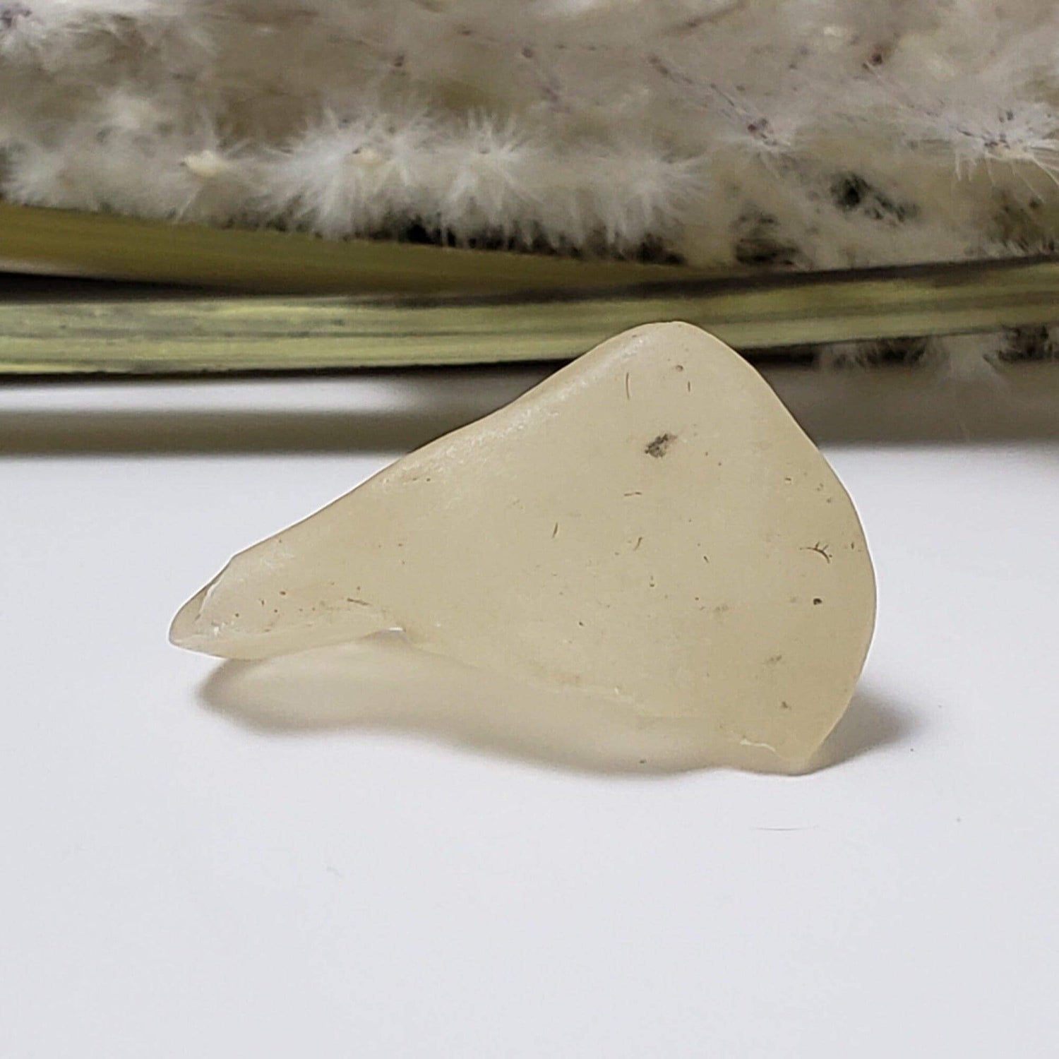  Libyan Desert Glass | Natural Impact Glass | 3.0 Grams | Authentic Impactite 