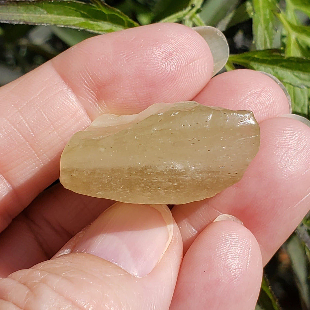  Libyan Desert Glass Tektite |13.02 Grams | Authentic Impactite SO24 4