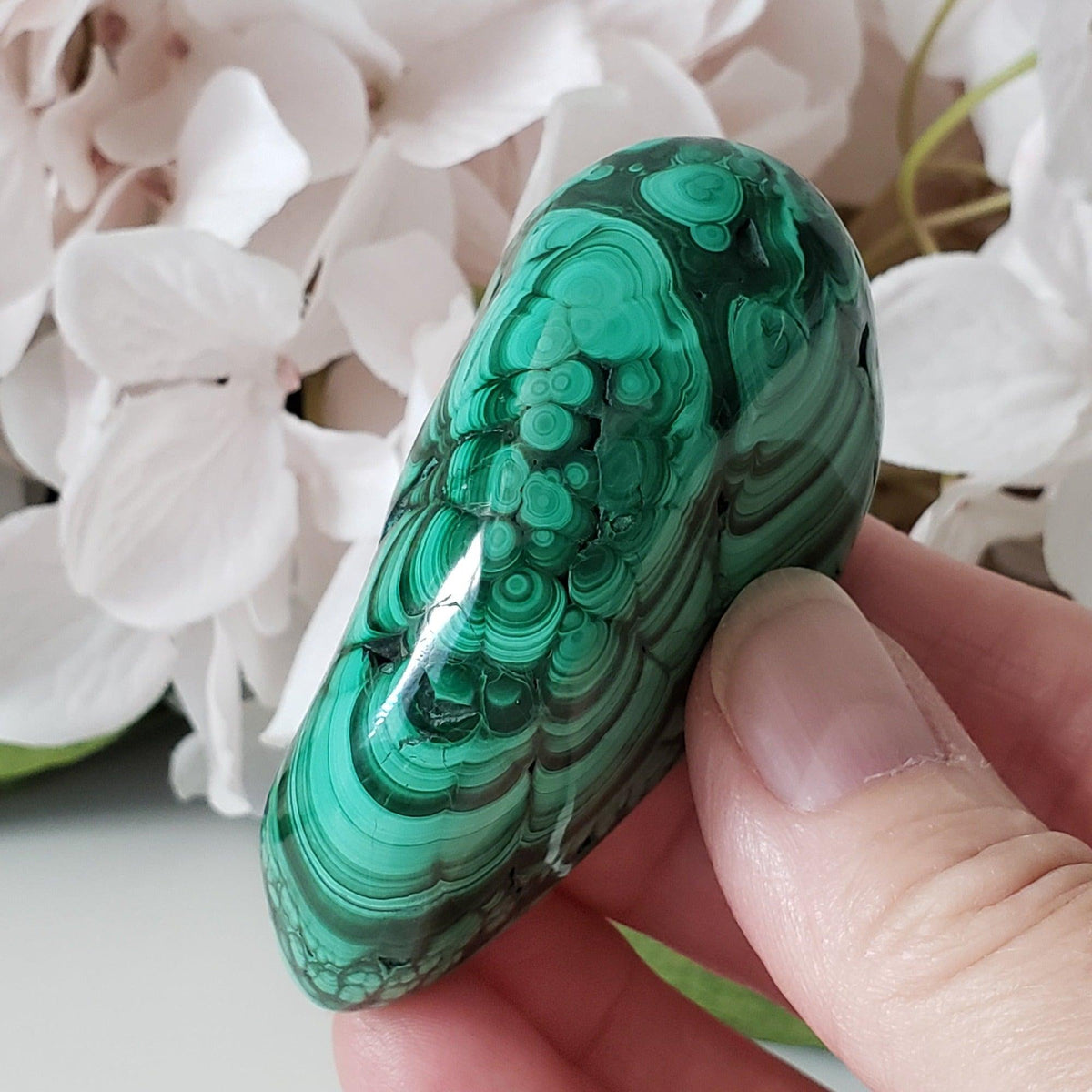 Malachite | Polished Ornamental Stone | 161 Grams | Shaba Copper Belt, Congo | SO24 5