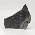  Melt Glass | 85.59 Grams | Part Slice | Impactite | Sudbury Structure, Canada, 2