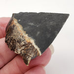  Melt Glass Part-Slice | 28.35 Grams | Impactite | Sudbury Structure, Canada | SO24 1