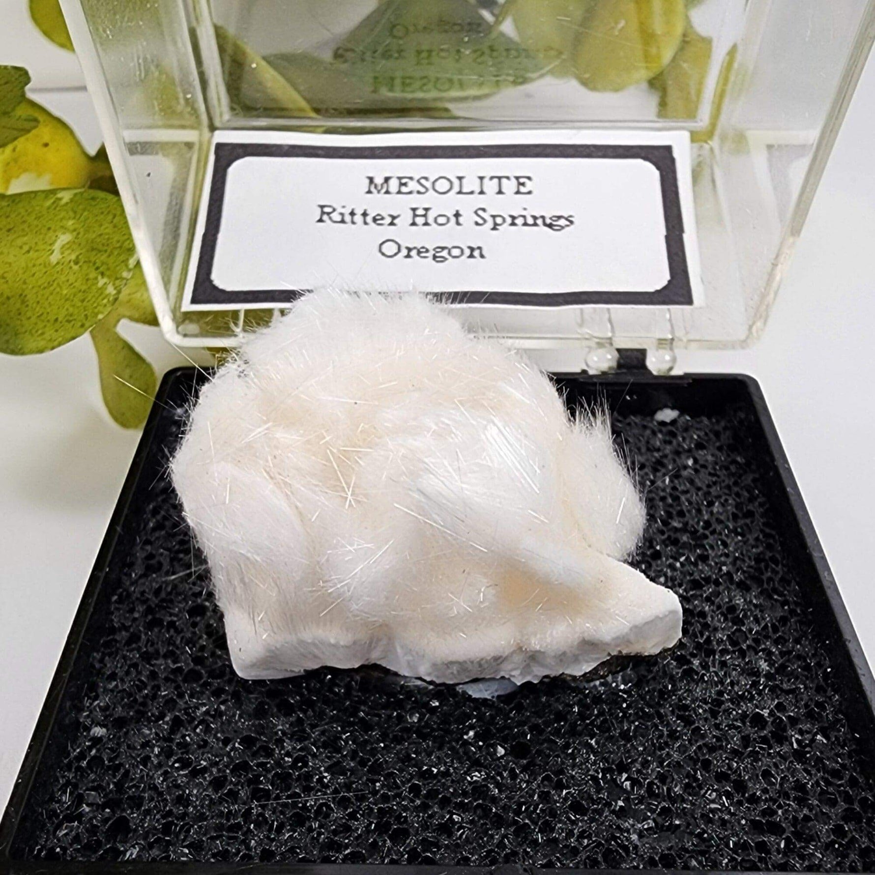  Mesolite Needles | Display Box | 44.2 Gr | Burnt Cabin Creek, Spray, Oregon, USA | SO24 
