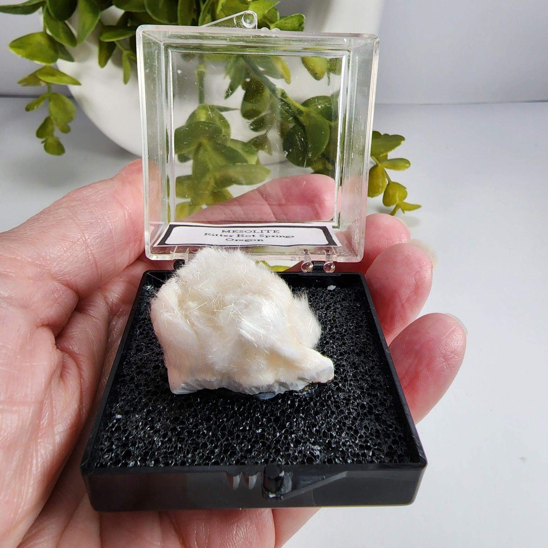  Mesolite Needles | Display Box | 44.2 Gr | Burnt Cabin Creek, Spray, Oregon, USA | SO24 4