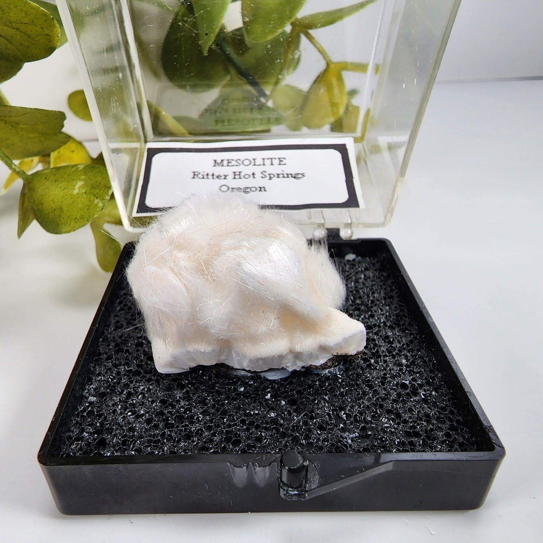  Mesolite Needles | Display Box | 44.2 Gr | Burnt Cabin Creek, Spray, Oregon, USA | SO24 5