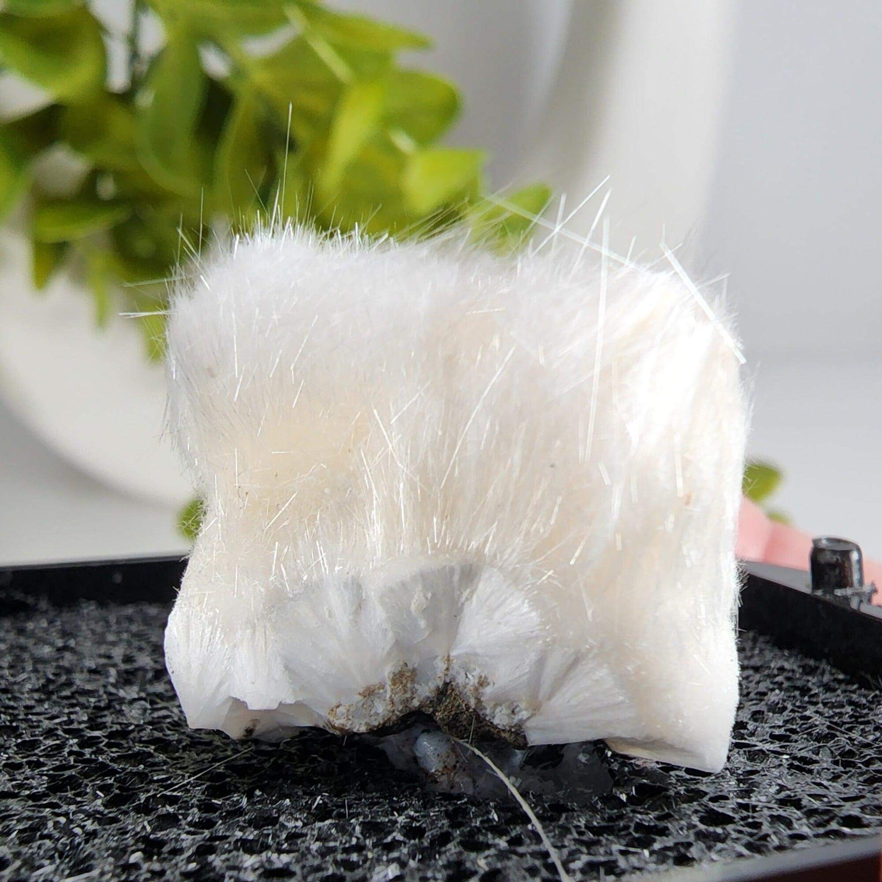  Mesolite Needles | Display Box | 44.2 Gr | Burnt Cabin Creek, Spray, Oregon, USA | SO24 6