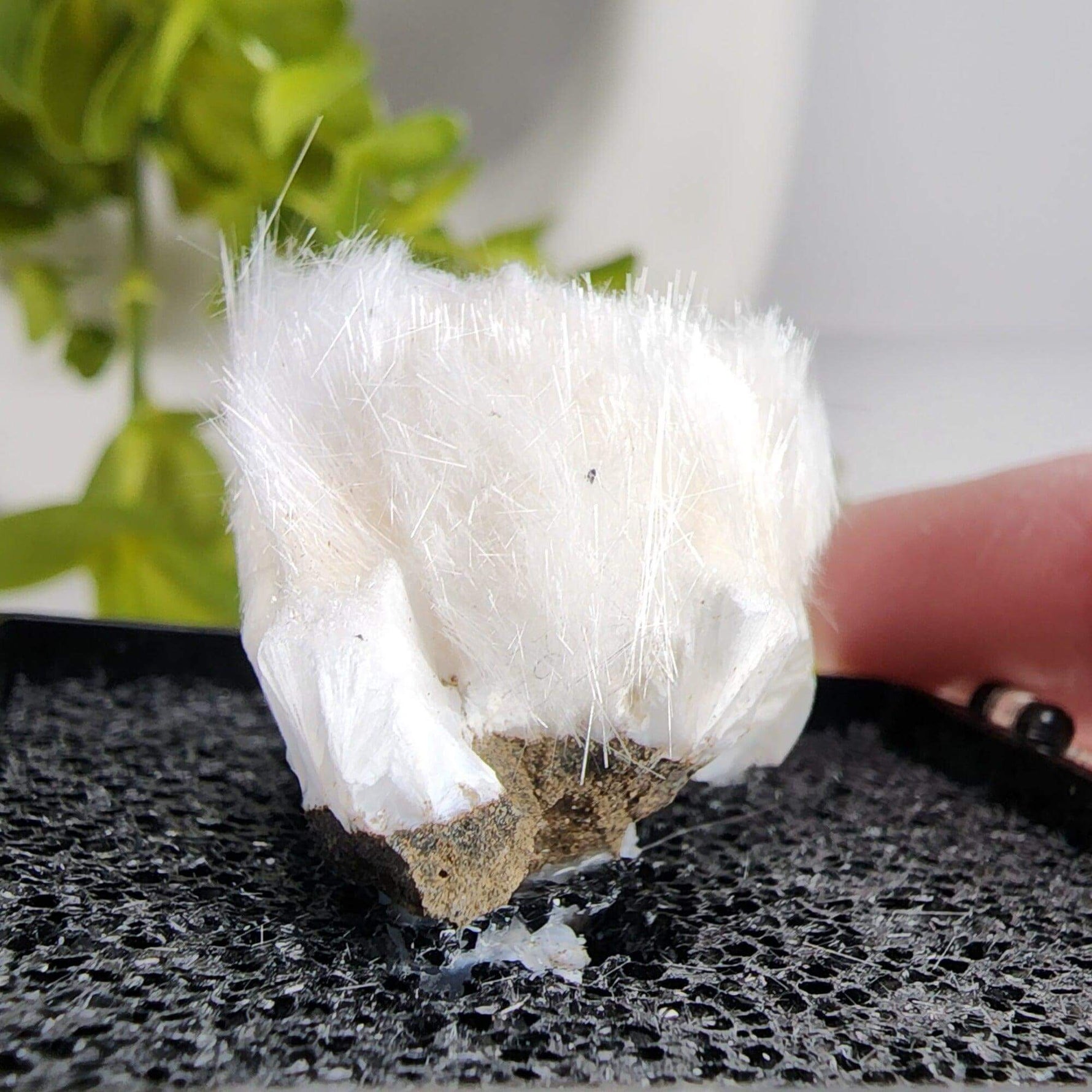  Mesolite Needles | Display Box | 44.2 Gr | Burnt Cabin Creek, Spray, Oregon, USA | SO24 7