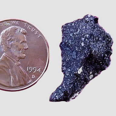  Meteorite Most Studied Murchison Carbonaceous CM2 1.99 Gr Australia | SO24 