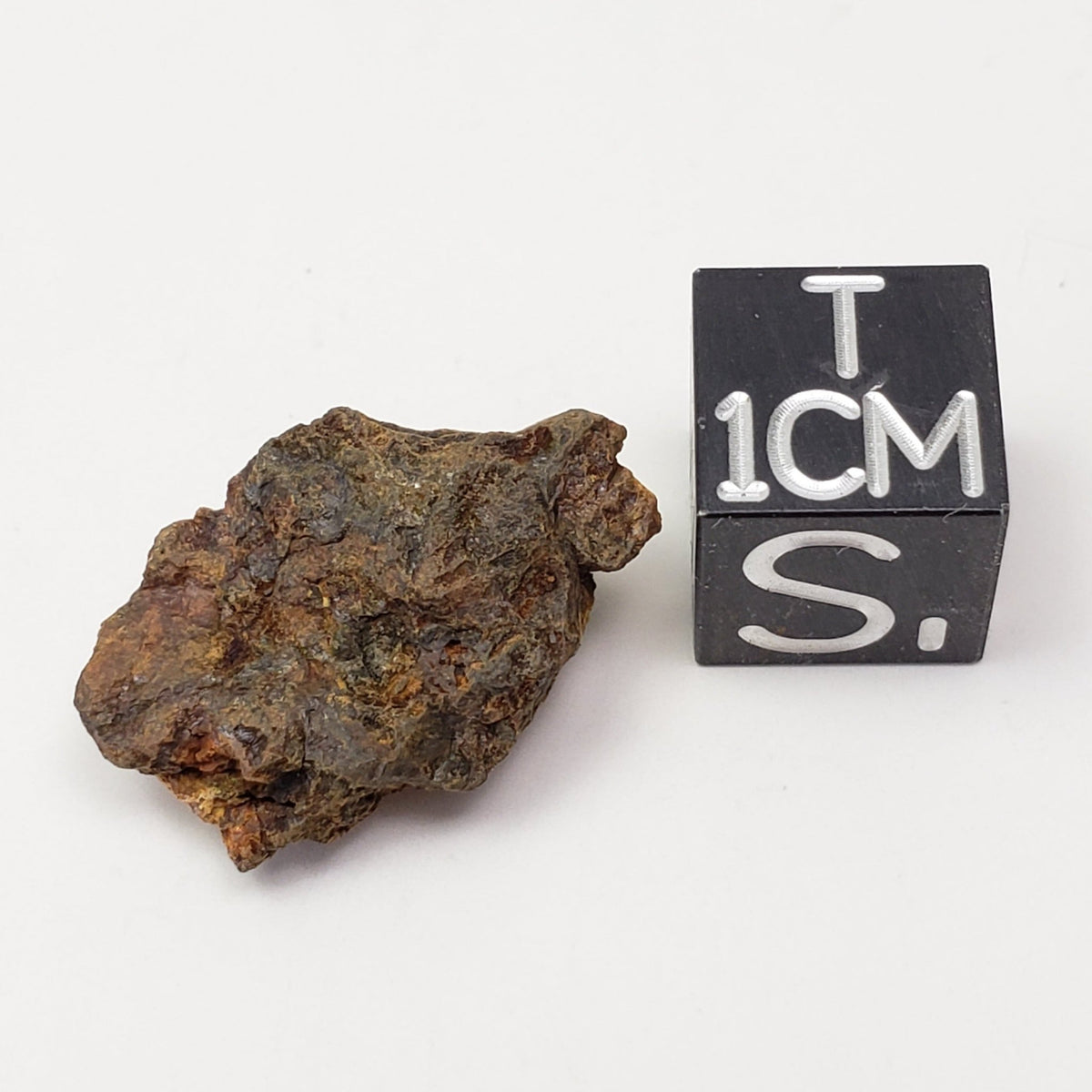  Meteorite-in-a-Box Mini World Collection Trio | Sericho, Sikhote-Alin & Seymchan 1